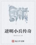 逆明小兵传奇epub