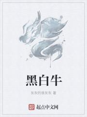 黑白牛肚