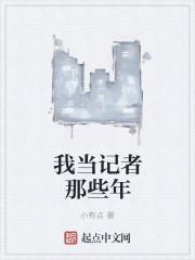 我与公司那些年