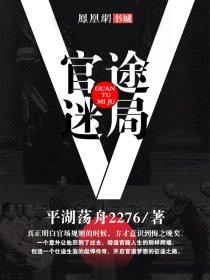 官途迷局2步步青云笔趣阁官途迷局1