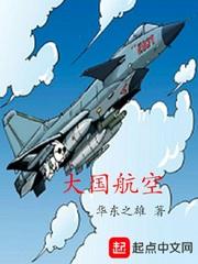 法国航空公司一架飞机失事 如果法国及其他duo guo