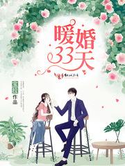 暖婚33天全文免费阅读