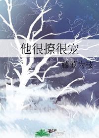 陆执宁蓁全文txt