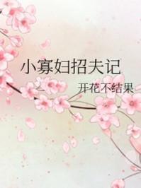 小寡妇招夫记旺夫命