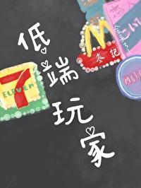 低端玩家epub