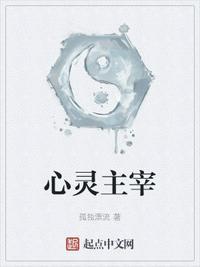 心灵主宰无错版