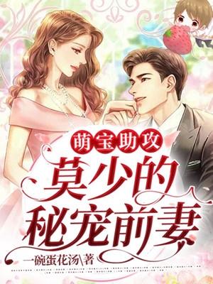 一胎两宝前妻别想逃