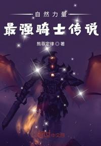 空洞骑士异闻录