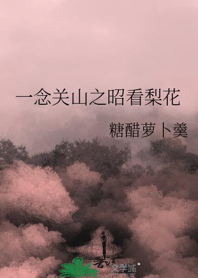 一念关山片段