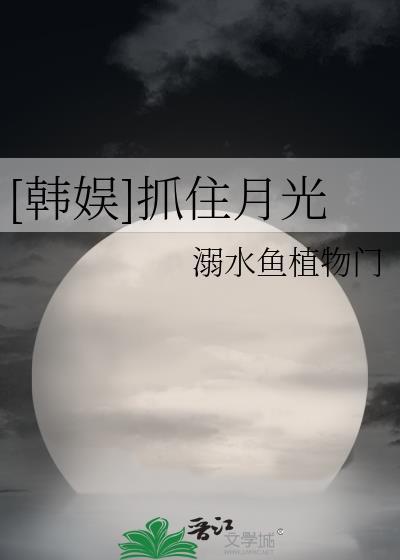 抓住星光免费阅读