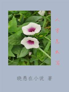 生字怎么写笔画