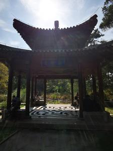 黄山仙遇