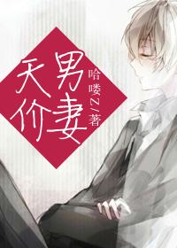 天价男妃by