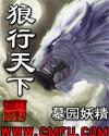 狼行天下150三轮车图片