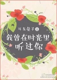 我曾在时光里听过你虐吗