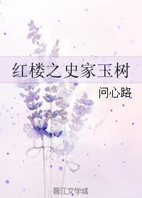 红楼之史家公子有谁